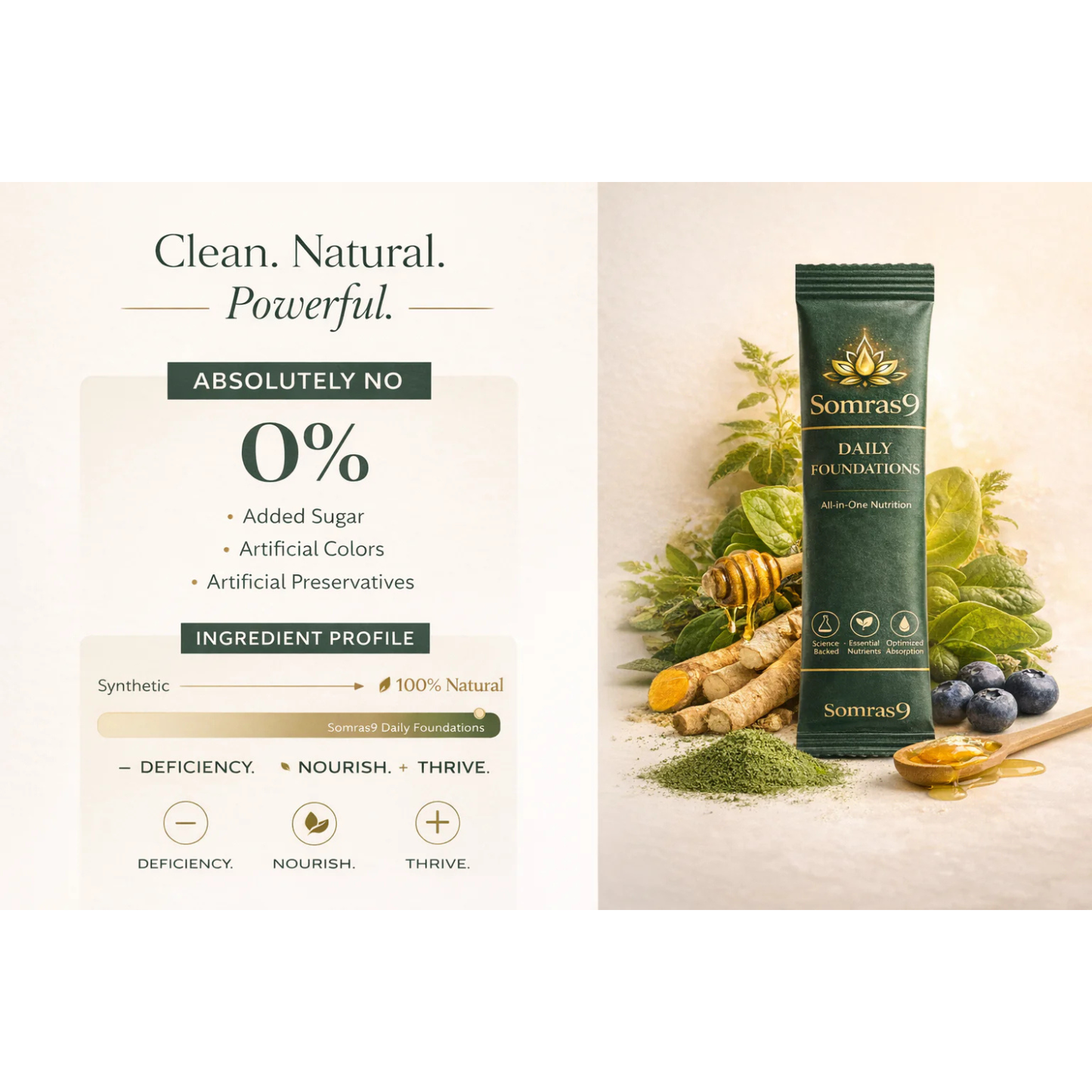 Somras9 Daily Foundations — India's #1 All-In-One Nutrition